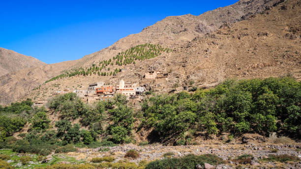 5-Day High Atlas Mountain Trek - 7